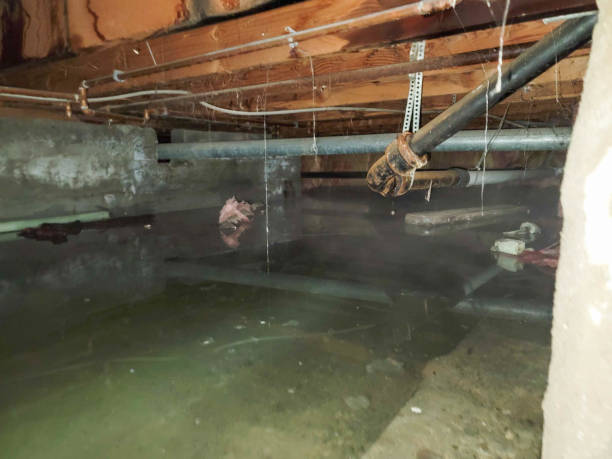 Best Water damage contractors near me  in Keyes, CA