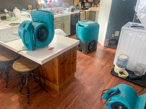 Best Water damage restoration experts  in Keyes, CA