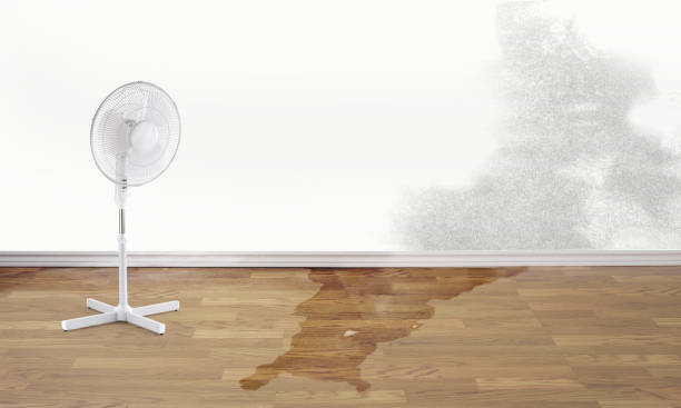 Best Basement water damage restoration  in Keyes, CA