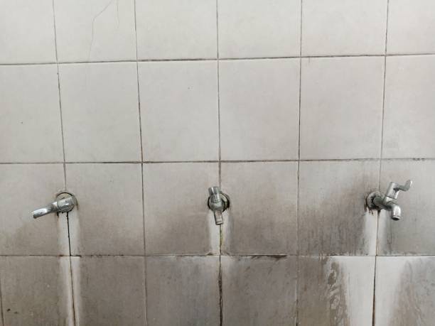 Best Carpet water damage restoration  in Keyes, CA