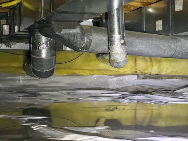Best Mold removal after water damage  in Keyes, CA