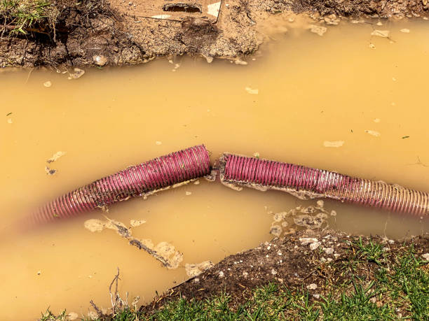 Best Sewage cleanup and water damage restoration  in Keyes, CA