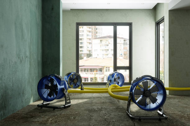 Best Residential water damage restoration  in Keyes, CA